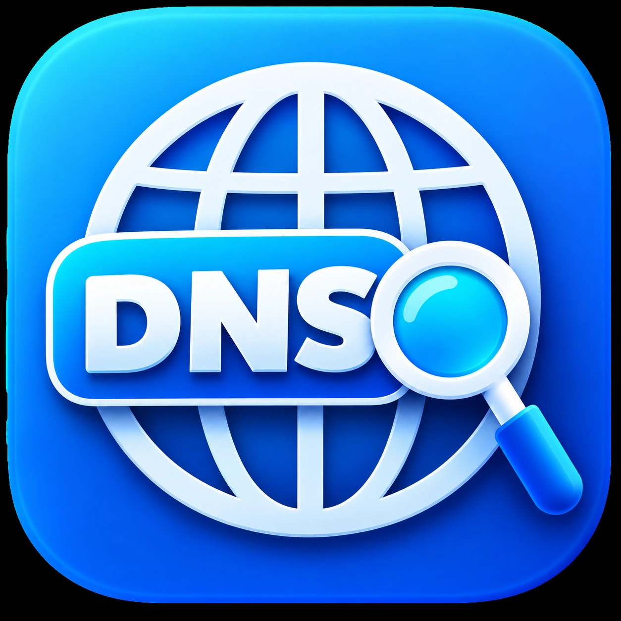 DNS Lookup Tool